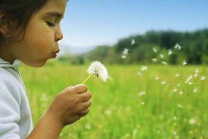 Allergie-al-polline-10-consigli-per-stare-meglio