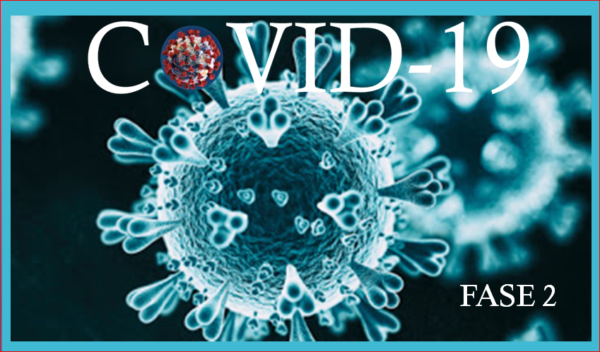 Corso COVID-19 ONLINE Fase 2 e 3